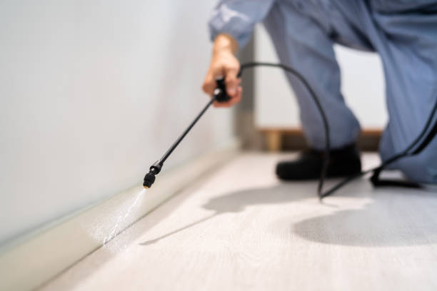 Rodent Entry Point Assessment in Prescott
