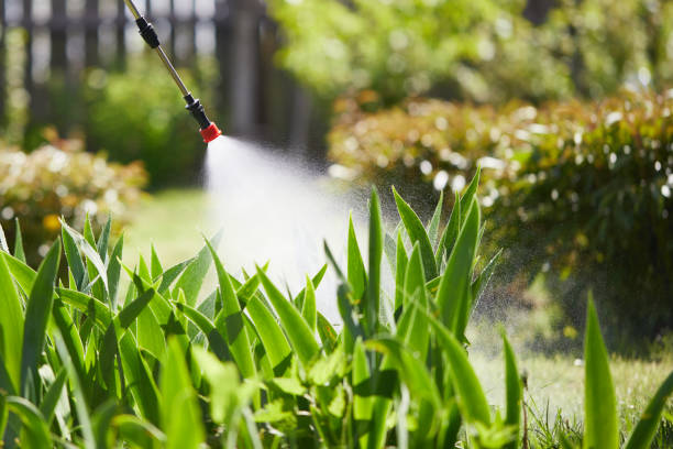 Tamper-Resistant Bait Stations for Rodents in Prescott
