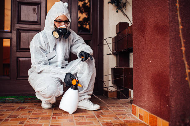 Attic and Crawl Space Rodent Treatment in Prescott
